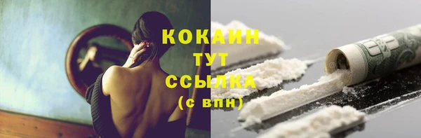 соль ск Абаза