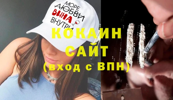 соль ск Абаза