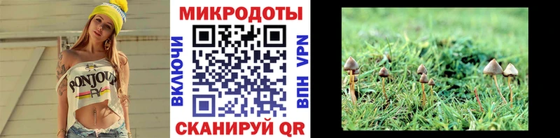 МЕГА рабочий сайт  Кирс  Псилоцибиновые грибы Psilocybe  цена наркотик 